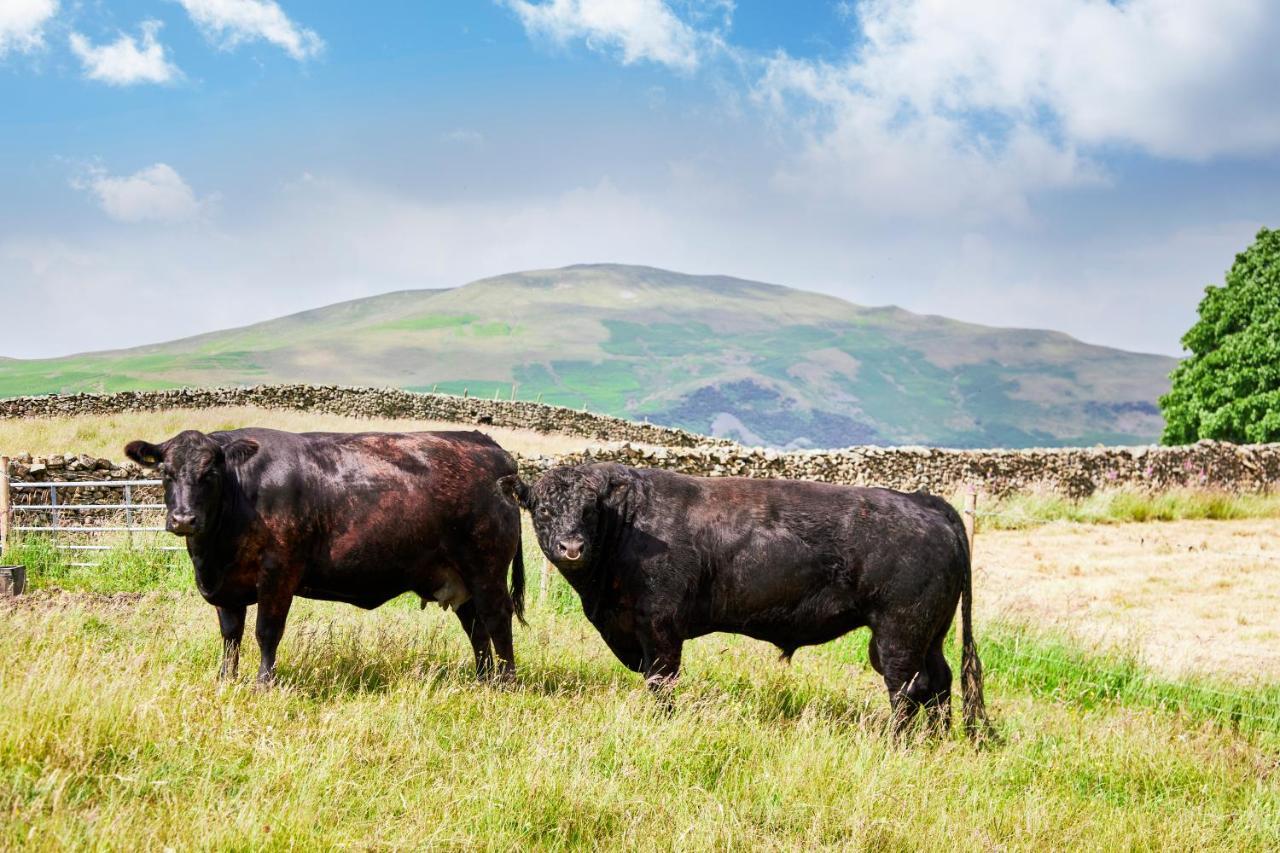 The Dalesman Country Inn Sedbergh Esterno foto